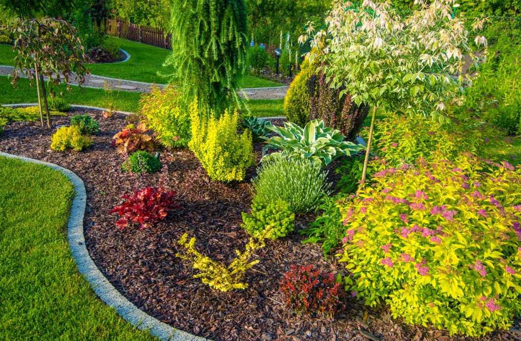 New Garden Design. Small Backyard Garden Closeup Photo.